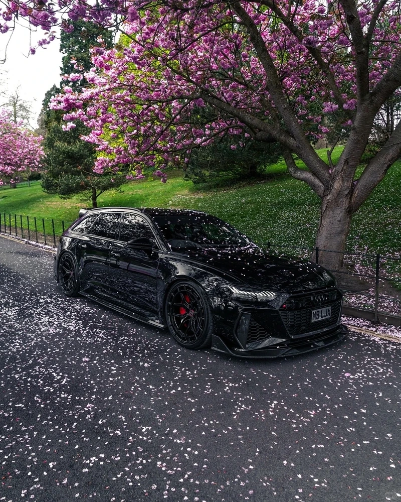 Thiết kế tinh tế và thể thao audi rs thiết kế thể thao