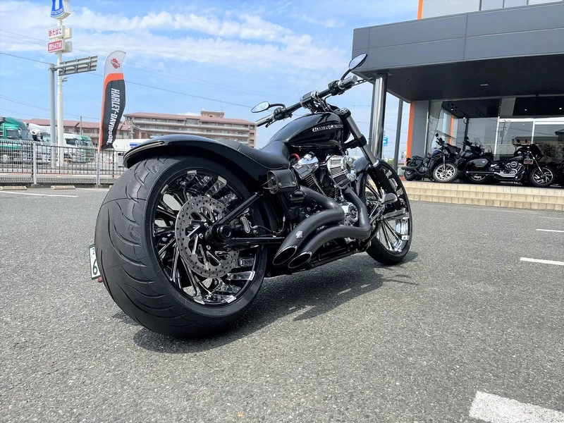Mẫu Harley Davidson Iron 883