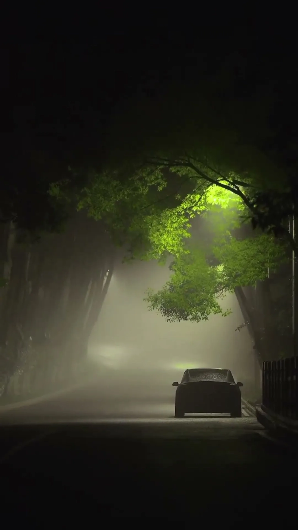 Tận hưởng hình nền xe dưới mưa cho điện thoại sống động