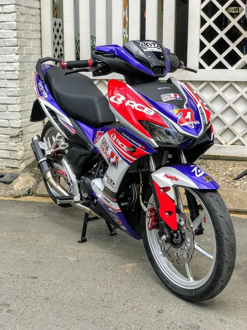 Giá độ kiểng Winner X tham khảo