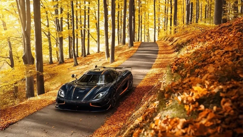 Hỏi xe koenigsegg ở đâu tải hình ảnh sắc nét
