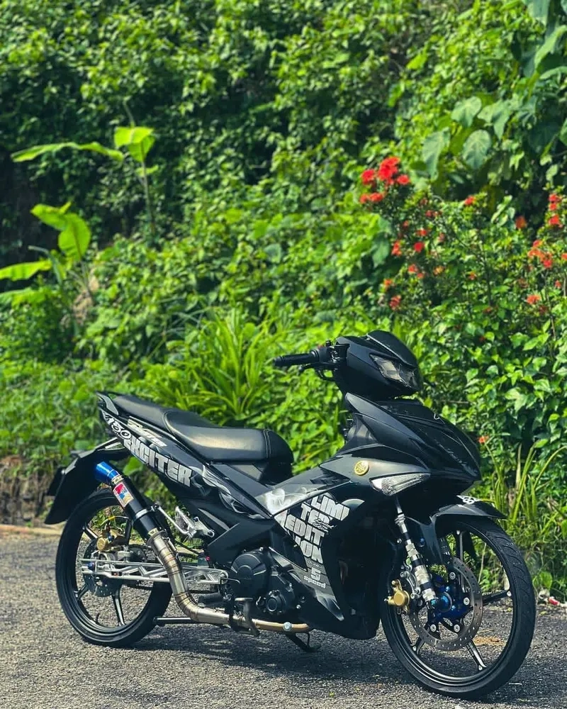 Giá độ kiểng Exciter tham khảo