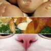 Nghi Khùn Gây Bão Meme Nấu Ăn Hài Hước Vui Vẻ Ai Cũng Phải Cười