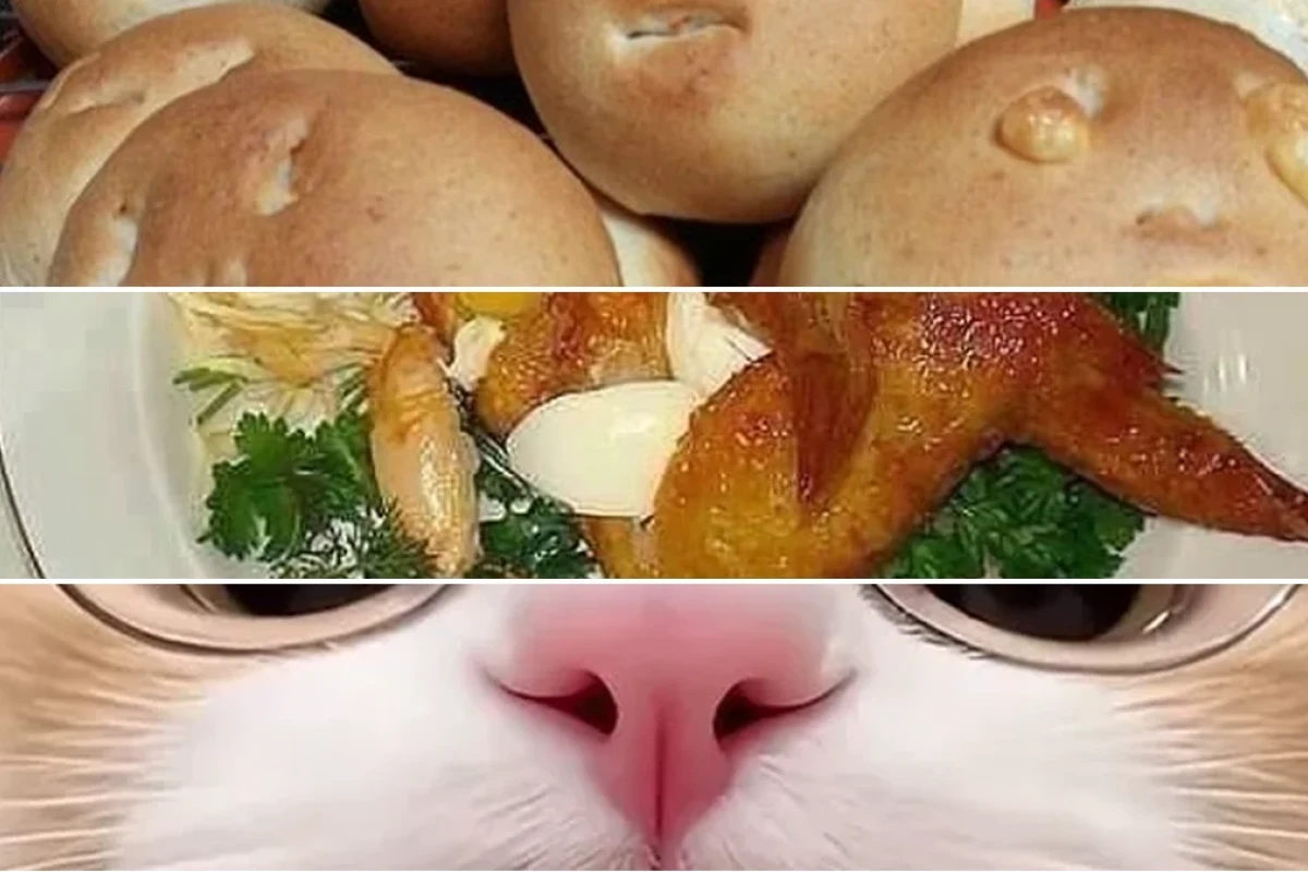 Nghi Khùn Gây Bão Meme Nấu Ăn Hài Hước Vui Vẻ Ai Cũng Phải Cười