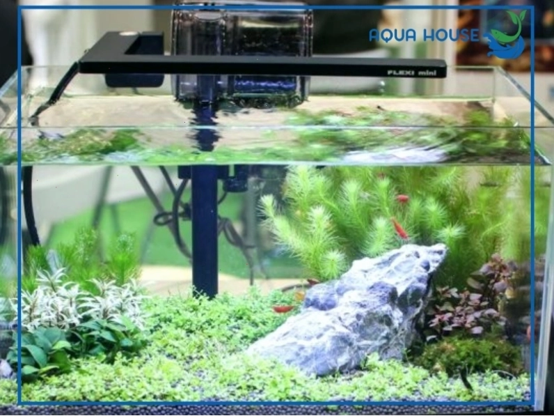 Quy trình lắp đặt máy lọc nước hồ cá chuẩn kỹ thuật