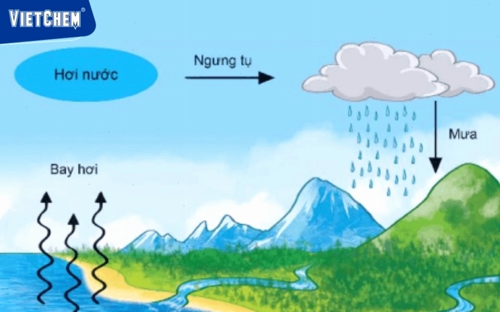 Sơ đồ chu trình tuần hoàn nước trong tự nhiên