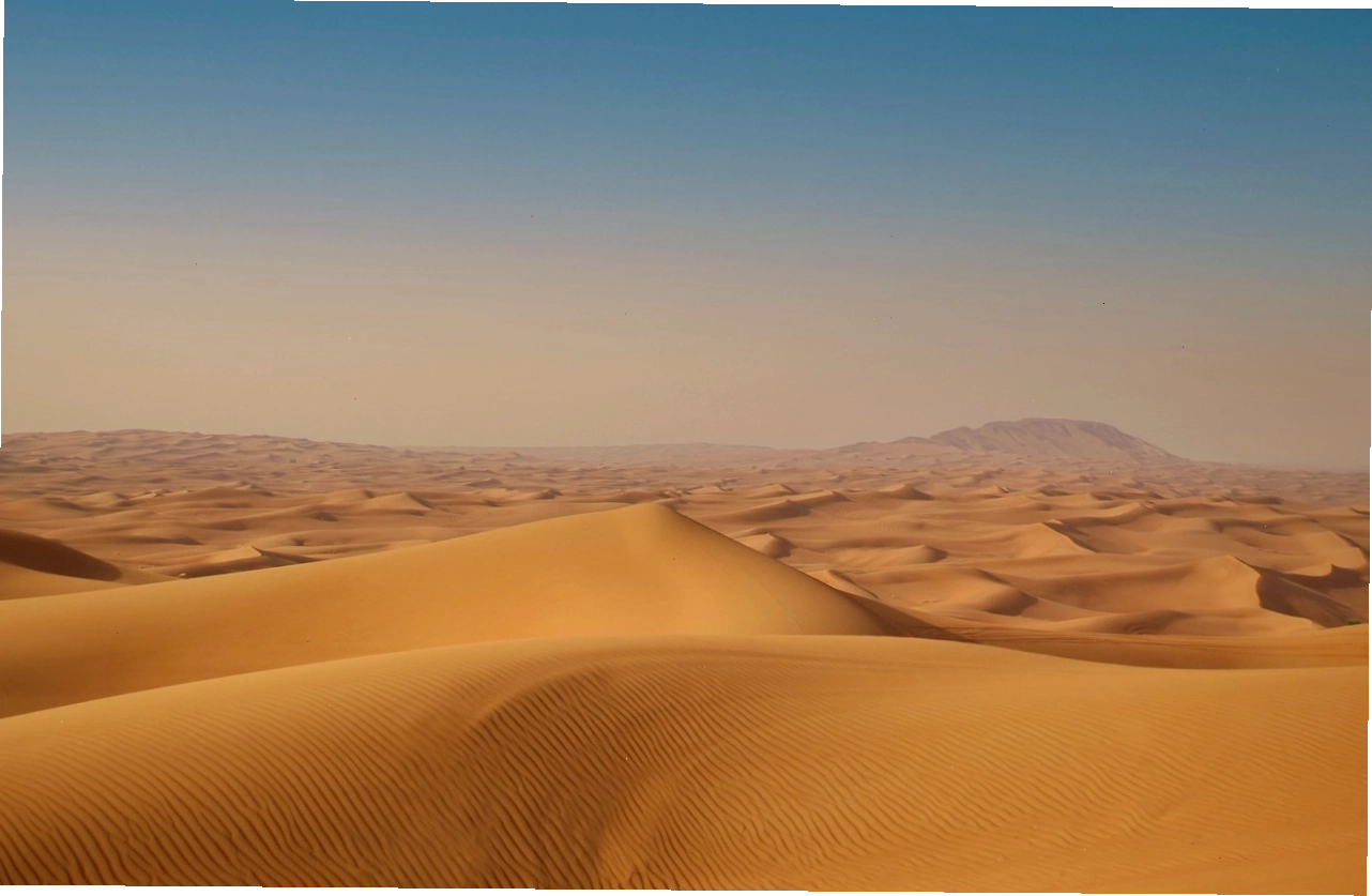 Dubai Sa Mạc Safari với những trải nghiệm mạo hiểm trên cát