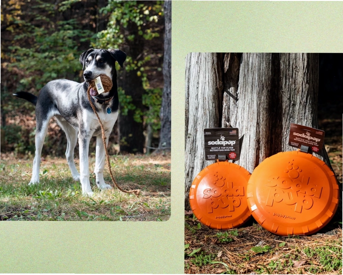 Sustainable yak milk dog chew test
