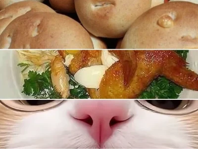 Nghi Khùn Gây Bão Meme Nấu Ăn Hài Hước Vui Vẻ Ai Cũng Phải Cười