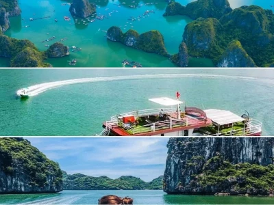 Trải nghiệm tour khám phá Vịnh Lan Hạ trọn vẹn năm 2026